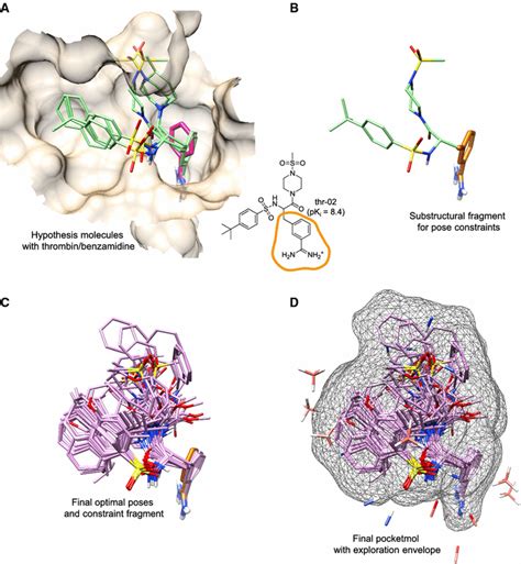 Thrombin Model Construction A Pdb Structure Dwb Thrombin Benzamidine