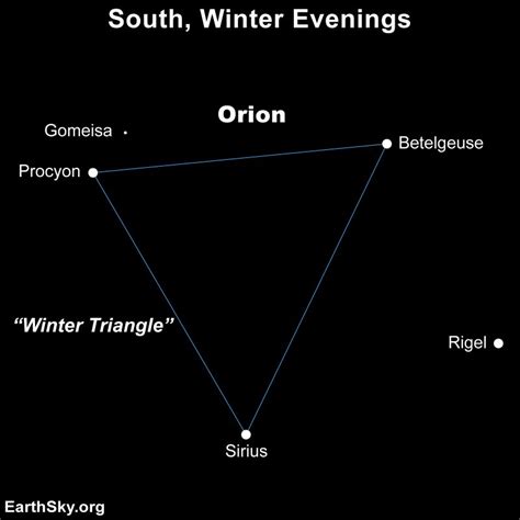 Procyon Nasa