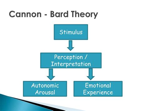 PPT Figure 12 5 Theories Of Emotion PowerPoint Presentation Free