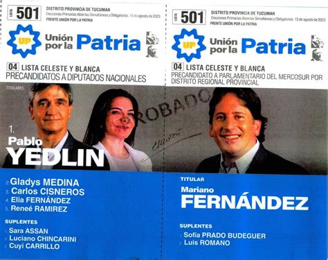 Elecciones 2023 Las Ocho Boletas De Precandidatos A Diputado Que