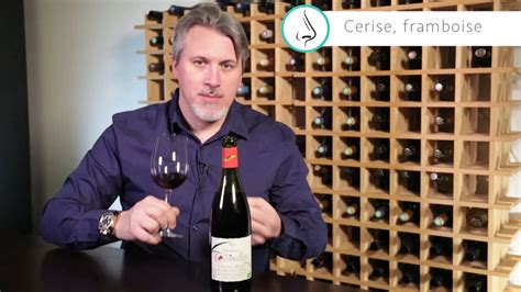 Château des Coccinelles cuvée Côtes du Rhône Bio Rouge 2019 YouTube