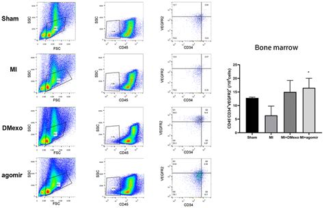 Circulating Exosomal MiR 144 3p Inhibits The Mobilization Of