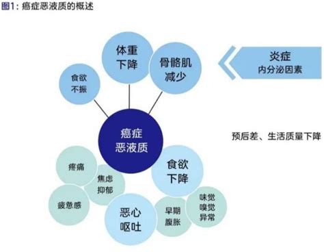 癌症恶病质的治疗 药物治疗取得良好效果 日本劳动厚生省认定【日本就医网】