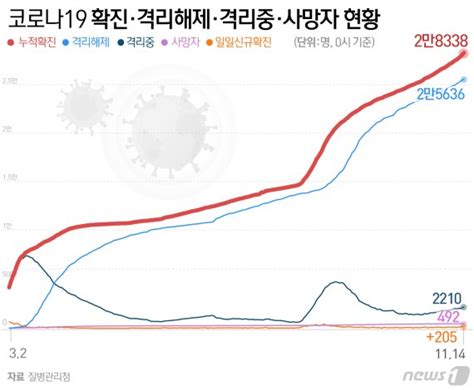 신규 확진 205명 73일만에 200명대강원도 15단계 기준 상회상보 파이낸셜뉴스