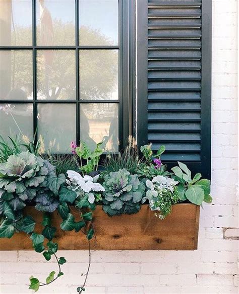 20 Window Flower Boxes Ideas To Beautify Your Outdoor