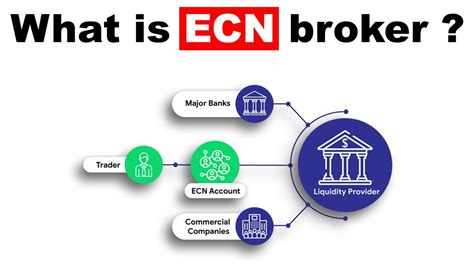 Ecn And Stp Trading Models A Comprehensive Comparison