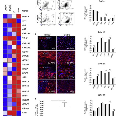 Mrna Transcript Protein Levels And Functional Analysis Of Download Scientific Diagram