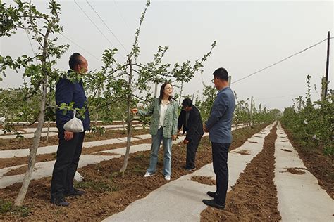 【甘肃】灵台县农广校高素质农民培育后续跟踪服务有序推进保实效