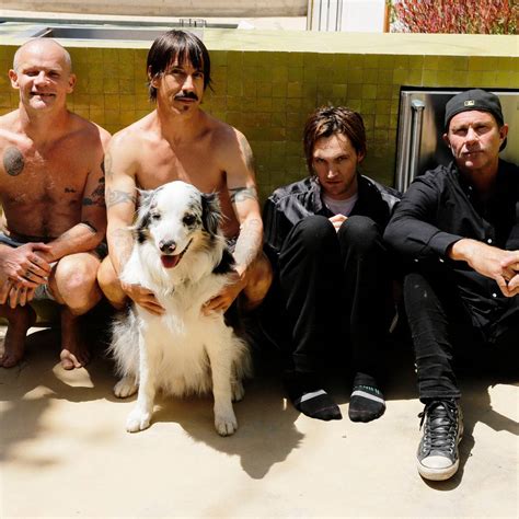 Red Hot Chili Peppers „black Summer“ Songtext Deutsche Übersetzung Lyrics