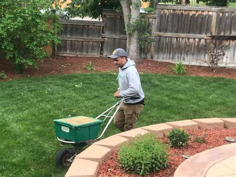 How To Overseed A Lawn Wikilawn