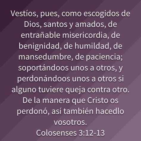 Colosenses 3 12 13 Vestíos pues como escogidos de Dios santos y