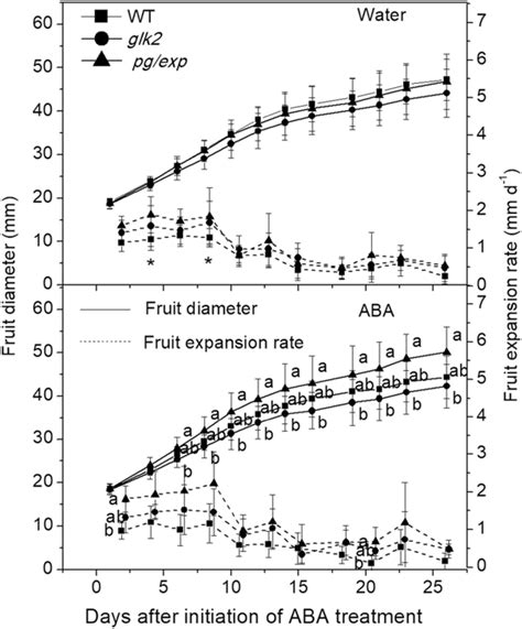 Disassembly Of The Fruit Cell Wall By The Ripening Associated