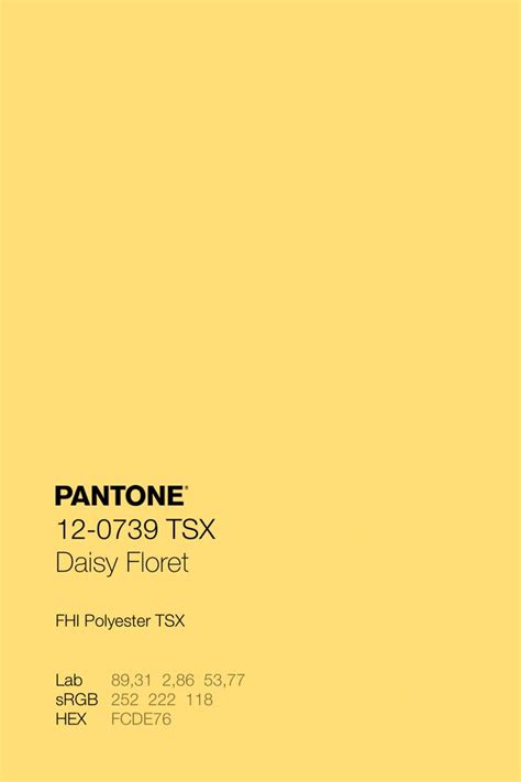 Pantone Tsx Daisy Floret Color Code In Pantone Colour