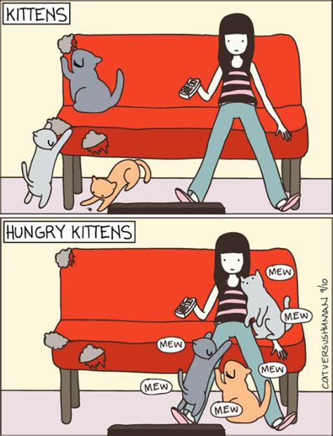 Hilarious Comics With Cats 35 Pics