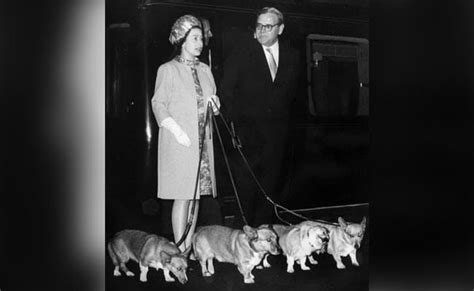 The Queen And Her Love For Corgi Dogs