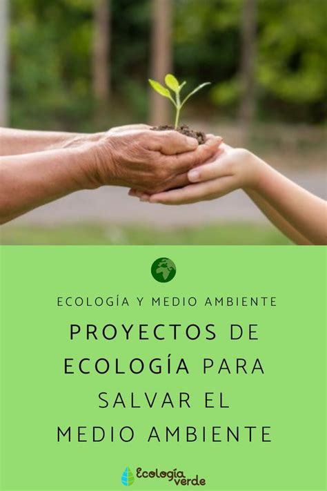 Two Hands Holding A Small Plant With The Words Ecologia Y Medio Ambiente