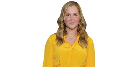 Amy Schumer Yellow Dress Half Body Buddy Celebrity Cutouts