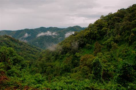 The Batwa People Cultural Experience In Uganda