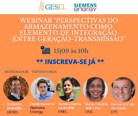 Webinar Gesel Perspectivas Do Armazenamento Como Elemento De