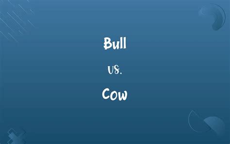 Bull vs. Cow: Know the Difference