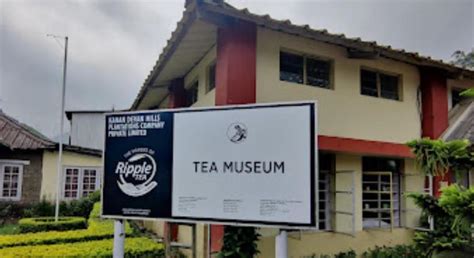 Tea Museum Munnar - Discover India