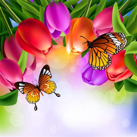 K K K Butterflies Tulips Monarch Butterfly Hd Wallpaper Rare