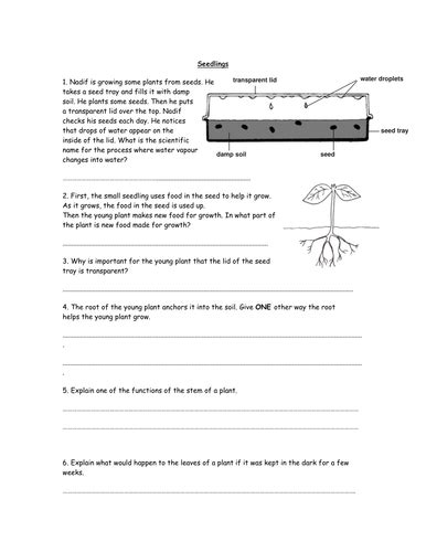 14 Science Homework Worksheets Year 6 Teaching Resources