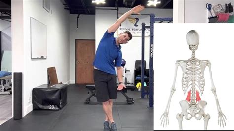 Quadratus Lumborum Stretch Standing Youtube