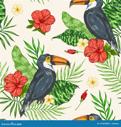 Tropical Seamless Pattern With Toucan Stock Vector Illustration Of