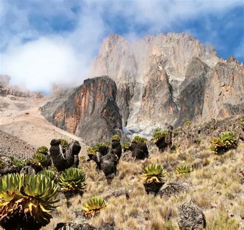 Mount Kenya National Park | Halisa Afrika