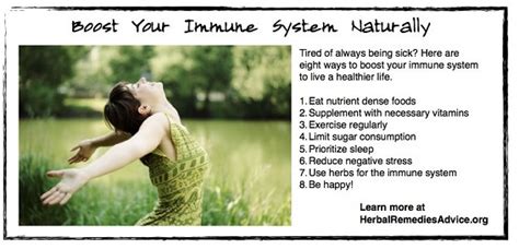 Immune System Boosters