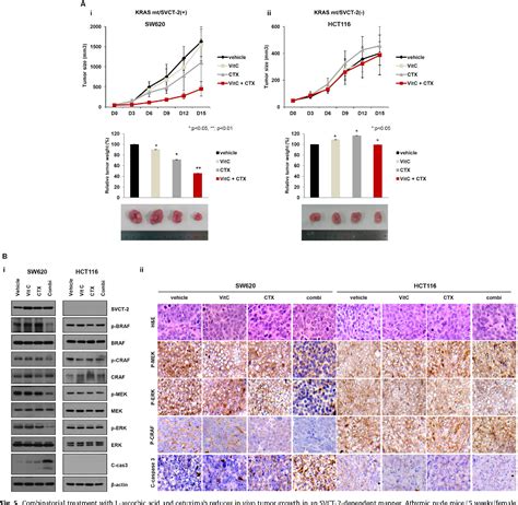 Cetuximab As Related To Colon Cancer Pictures