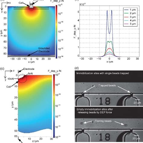 Working Principle Of The Microfluidic Single Cell Culture Chip A