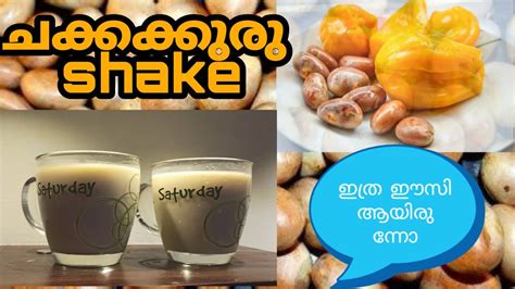 ചക്കക്കുരു ജ്യൂസ് Jack Fruit Seeds Milk Shake ചക്കക്കുരു Shake Healthy And Tasty Shake