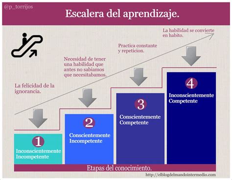 El Camino Para Convertirse En Un Experto