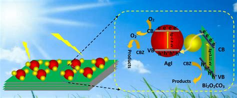 Schematic Illustration Of The Photocatalytic Degradation Mechanism On