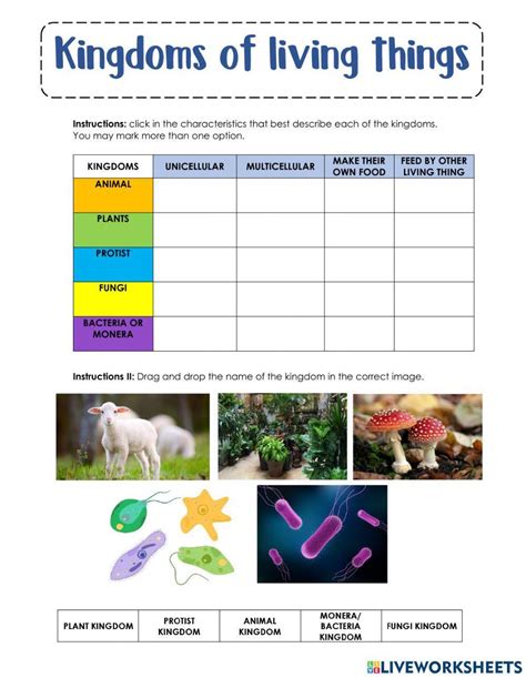 Kingdoms Of Living Things Interactive Worksheet Live Worksheets