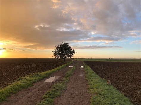 Loos Cycling The Battlefields