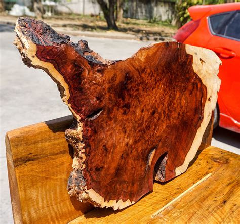 Red Amboyna Burl Lumber Natural Slab Wood Live Edge Table Top Etsy