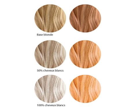 100 Organic And Vegetable Hair Color Venetian Blond The Colors Of Jeanne