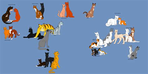 Firestar's family tree by LisaRHarter on DeviantArt