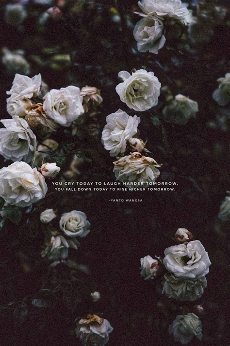 Aesthetic Flower Wallpaper With Quotes