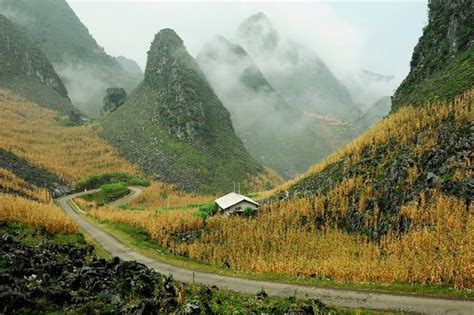 Phrases Vietnamiennes De Base Utiles Aux Voyageurs Expressions