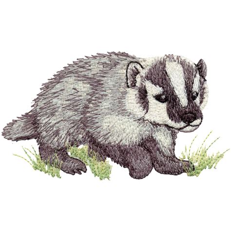 Baby Badger