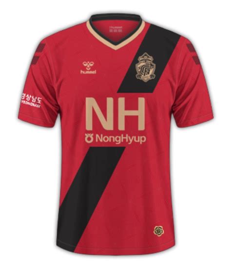 Gyeongnam Fc Home Kit