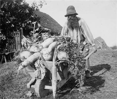 Figure Estonian Peasant With A Barrow With Vegetables Download