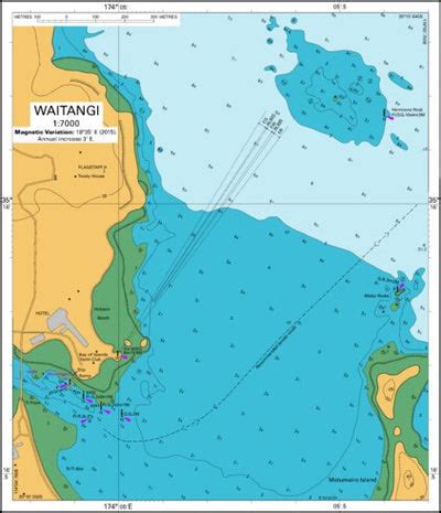 Waitangi map by Land Information New Zealand - Avenza Maps | Avenza Maps