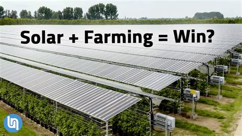 Solar Panels Plus Farming Agrivoltaics Explained Youtube