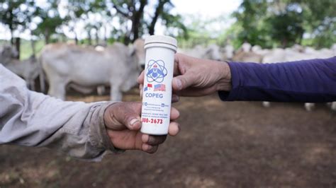 Autoridades Del Mida Y Copeg Coordinan Acciones De Control Del Gusano