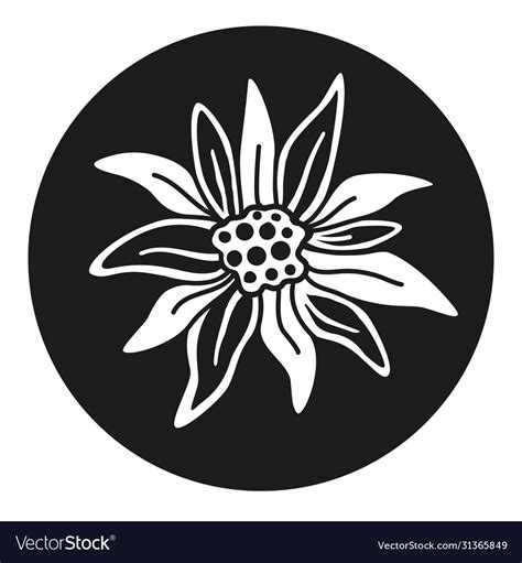 Edelweiss Flower Icon Alpine Flat Web Royalty Free Vector